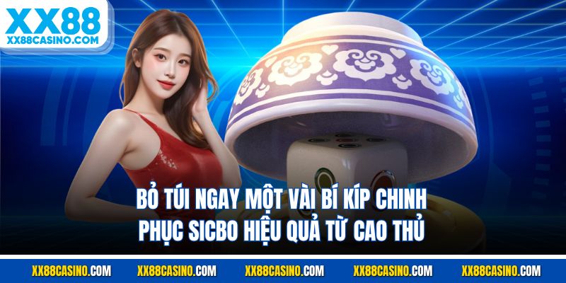 Bỏ túi ngay một vài bí kíp chinh phục sicbo hiệu quả từ cao thủ